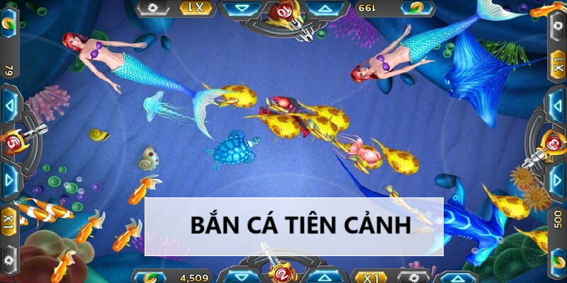 ban ca tien canh twin 681cc4d14888b