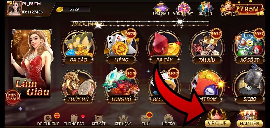 dai ly twin 681c9e4257480